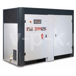 Винтовой компрессор Fini TERA SD 18010 STC Винтовой компрессор Fini TERA SD 18010 STC фото