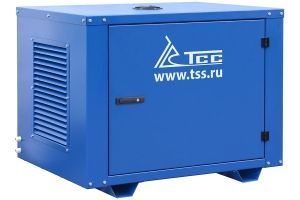 Бензиновый генератор ТСС SGG 6000EHNA в кожухе МК-1.1 110106 4-х тактный фото