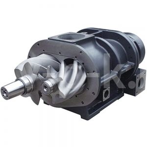 Блок винтовой EVO1-NK-V005 4031020020 Блок винтовой EVO1-NK-V005 4031020020 фото