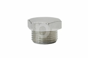 R 4151502300 Заглушка 1/4" mod.11/B (аналог 3101.00.00.203) для 100w80 фото