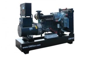 Дизельный генератор GMGen GMI165  фото