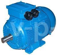 Электродвигатель, 11,0 кВт для 500w115-16 фото
