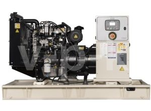 Дизельный генератор TEKSAN TJ50PE-1 CROMPTON  Дизельный генератор TEKSAN TJ50PE-1 CROMPTON  фото