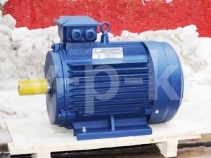 Электродвигатель АИР 100 L2 для компрессора АСО-Бежецк Электродвигатель АИР 100 L2 для компрессора АСО-Бежецк фото