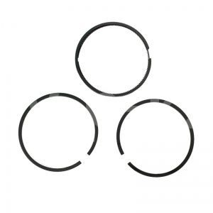4080120000 Комплект поршневых колец