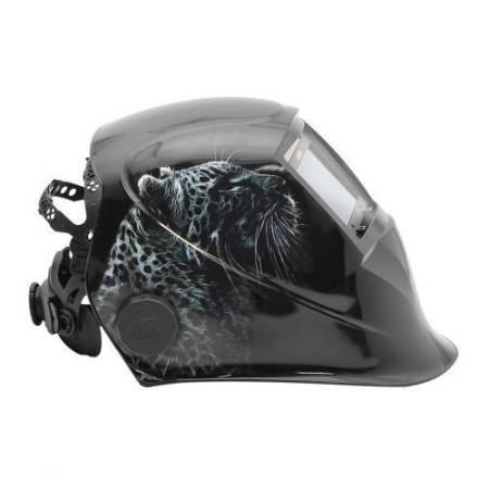 МС 207 (FULL COLOR)