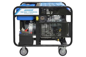 Бензиновый генератор ТСС SGG 17000EH3A 190075 фото